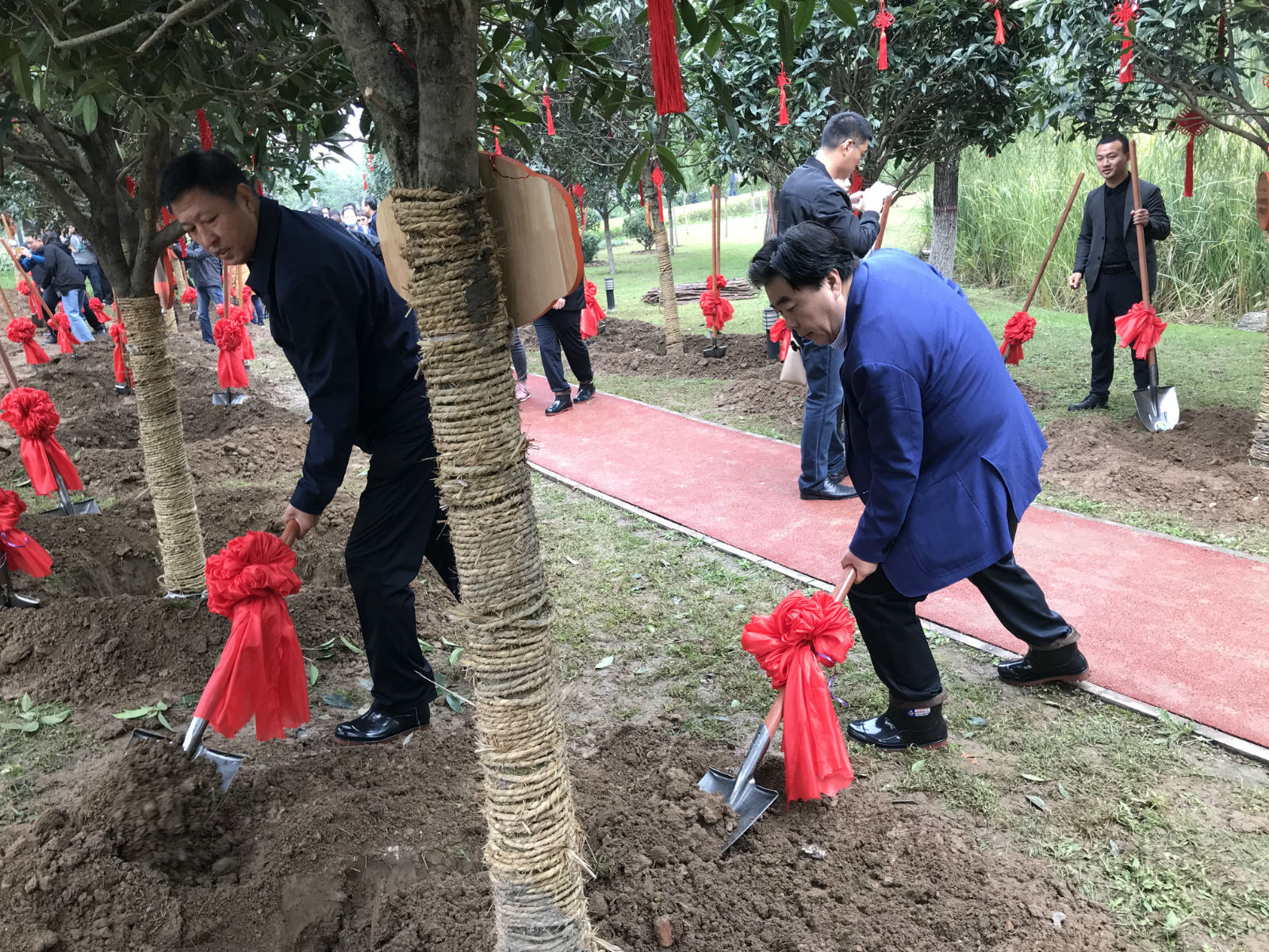 大港澳53040新版苹果手机